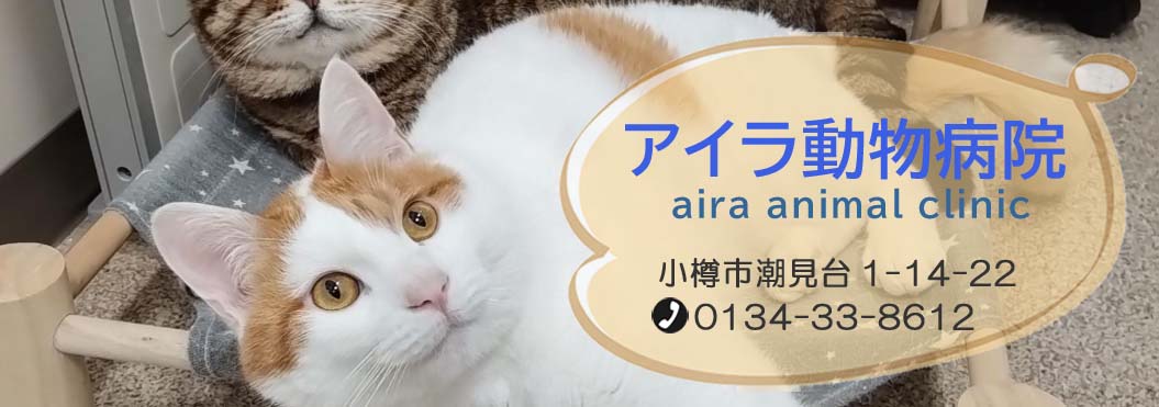 Lʐ^3