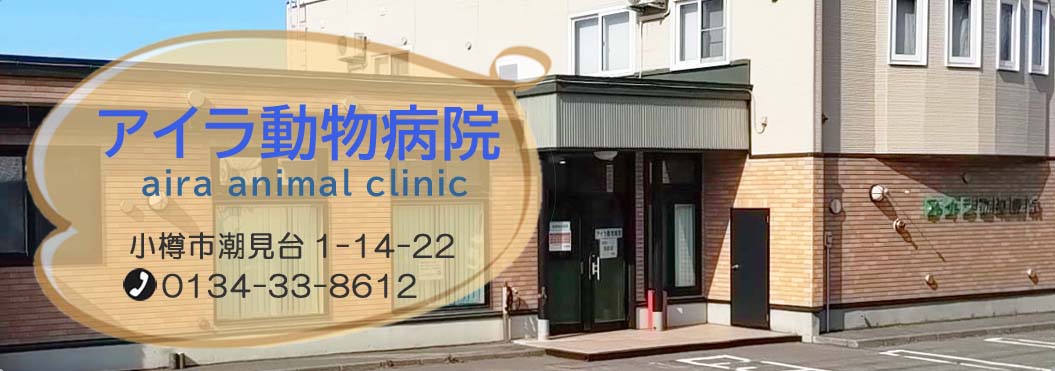 �����a�@�O��1